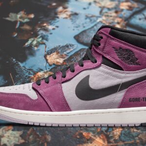 Air Jordan 1 High Element Gore-Tex Berry