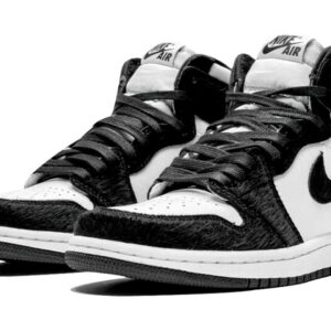 Air Jordan 1 Retro High Twist