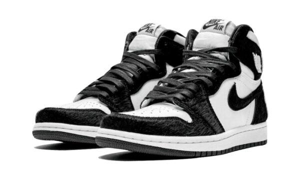 Air Jordan 1 Retro High Twist