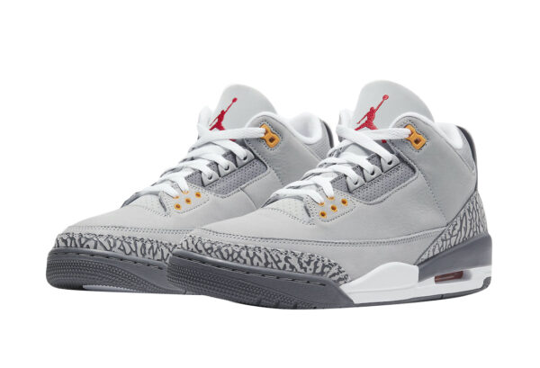 Air Jordan 3 Cool Grey 2021