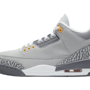 Air Jordan 3 Cool Grey 2021