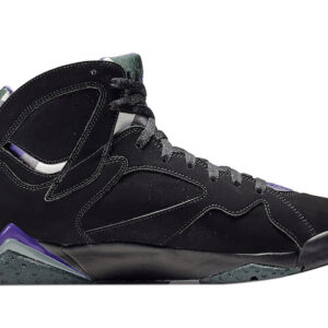 Air Jordan 7 Ray Allen