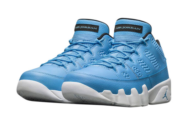 Air Jordan 9 Low Pantone