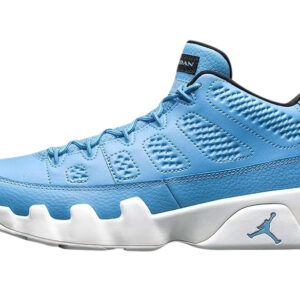 Air Jordan 9 Low Pantone