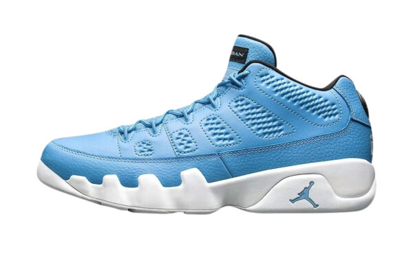 Air Jordan 9 Low Pantone