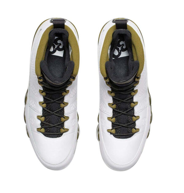 Air Jordan 9 The Spirit